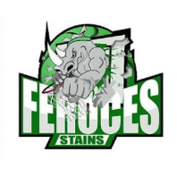 ESPERANCE SPORTIVE STAINS